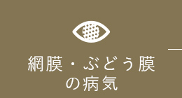 網膜・ぶどう膜の病気